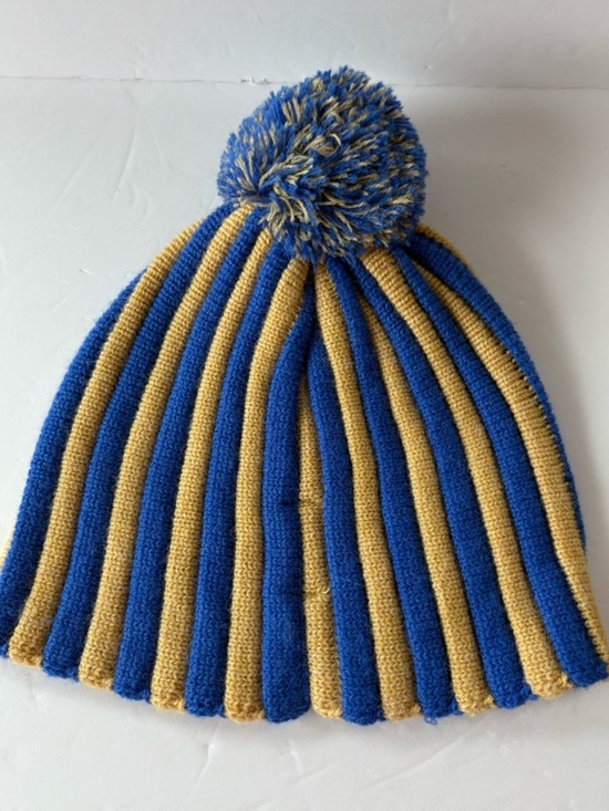 NWOT Free People FP Movement Alpine Pom Beanie main image 6